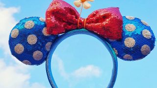 vintage minnie mouse ears