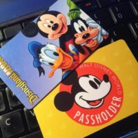 Disney World and Disneyland Annual Passes