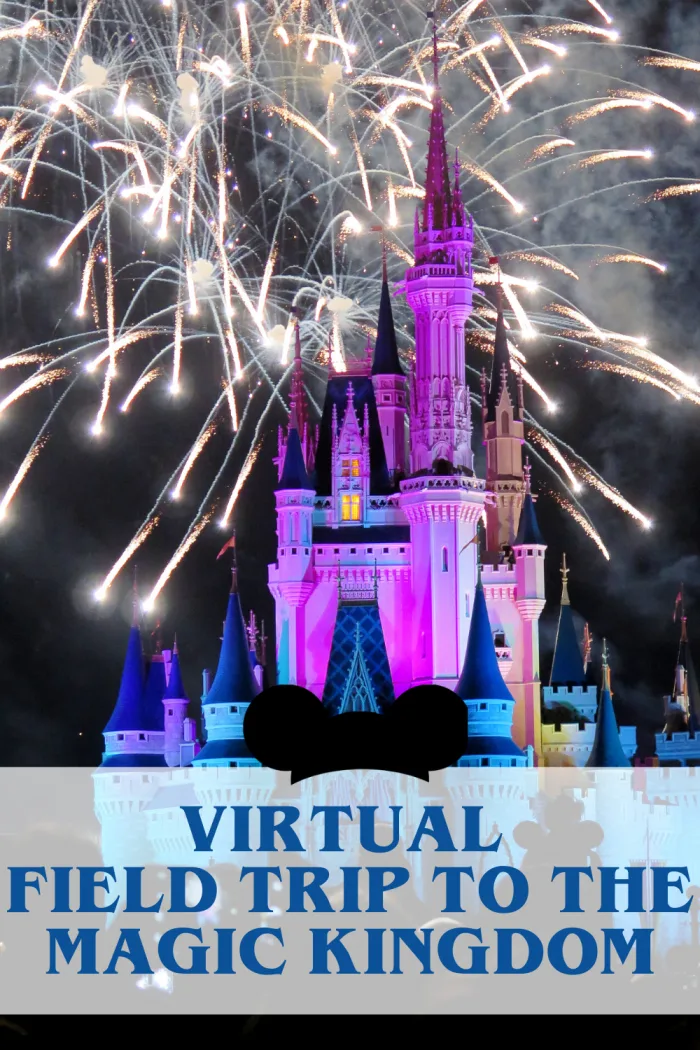 Disney Closure Got You Down? Take a Virtual Vacation To The Magic Kingdom