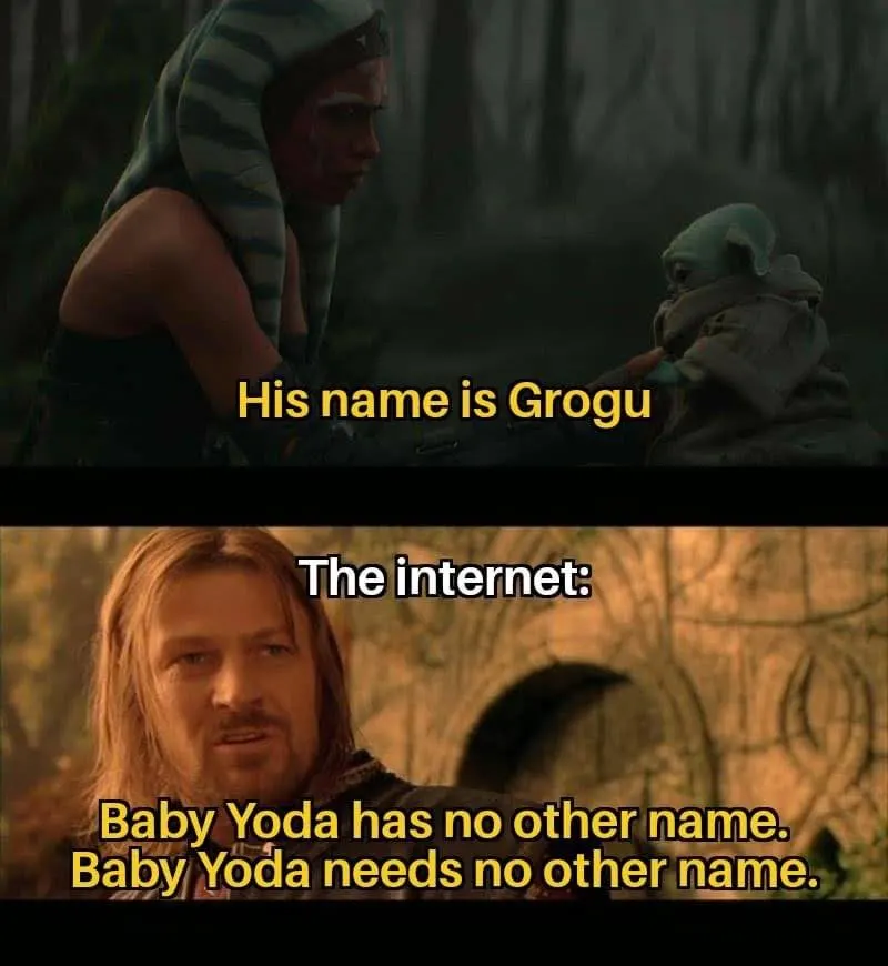Best Grogu Baby Yoda Name Memes