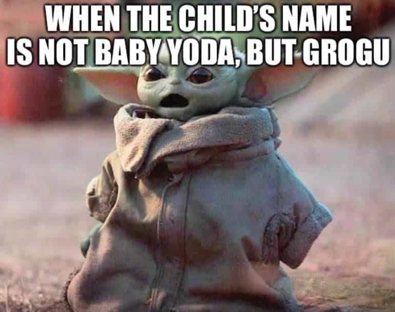 the child baby yoda name grogu meme