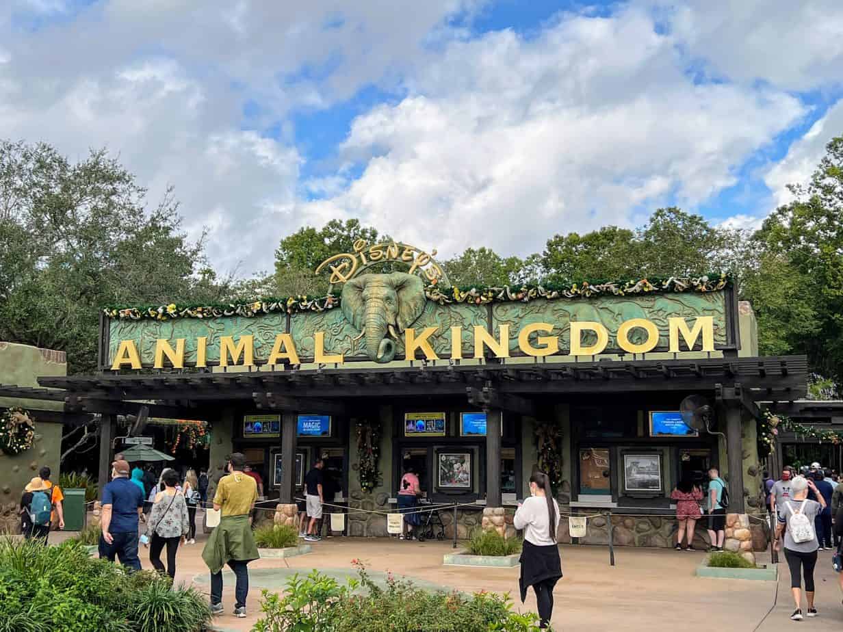 AK is the disney abbreviation for Animal Kingdom at Walt Disney World