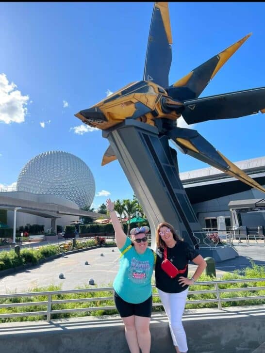 Top 50 Park Bags Best Fanny Pack For Disney (2024)