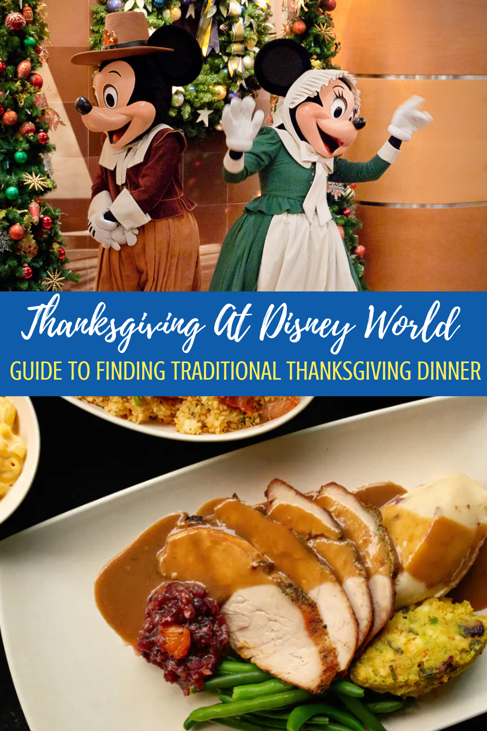 Guide to finding thanksgiving dinner at Disney World this year. 
