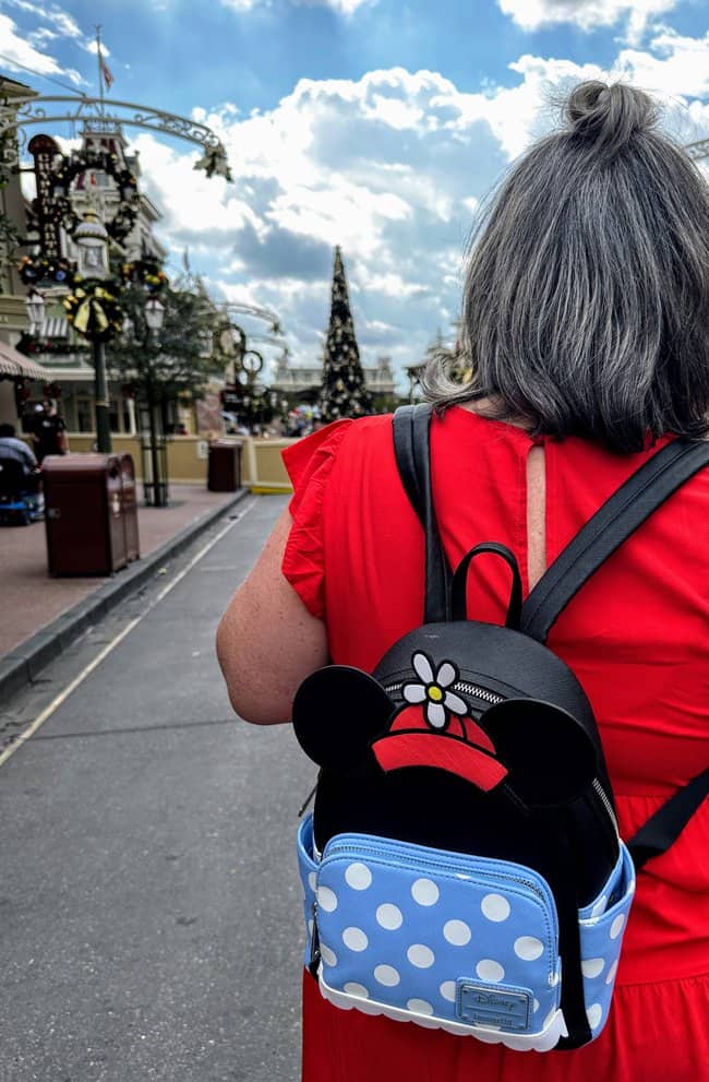 Disney park bag essentials: what to bring to the theme parks.