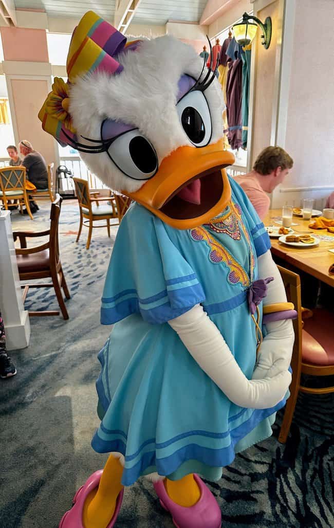 best disney character dining: cape may cafe minnie's beach bash breakfast review. Daisy Duck in her beach wear