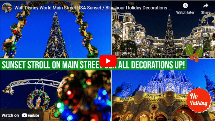 18 of The Best Disneyland and Disney World YouTube Channels (2023)